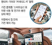 대문 밖 나서는 ‘스마트홈’… 차에서 세탁기·TV 제어한다