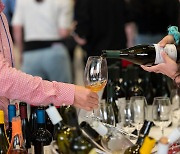 Georgia Wine Festival celebrates popularity of Georgian wine in Korea