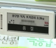 "김치 추가 안돼요"…식당도 마트도 '김치대란'