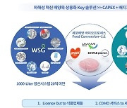 WSG-KCell-Umami, 세포배양 해산물 생산 위한 파트너십 구축