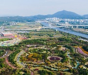 드림파크 국화축제 돌아온다…수도권매립지공사, 10월 2∼13일 개최