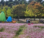 '청명한 가을, 국화와 함께'···수도권매립지관리공사 '2024 드림파크 국화축제' 개최