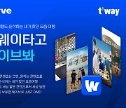 티웨이항공, OTT ‘웨이브’와 제휴…기내 엔터테인먼트 확대