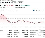 미증시 일제 랠리에도 테슬라는 1.09% 하락