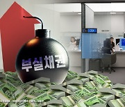 'IM·제주·전북'銀, 늘어나는 부실 줄이려 1300억대 NPL 유동화