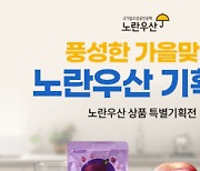 홈앤쇼핑, '풍성한 가을맞이 노란우산' 中企 기획전 진행