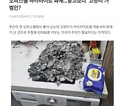 고양이가 불낸 거 맞아요!...그런데 인덕션은 불이 나지 않을까?