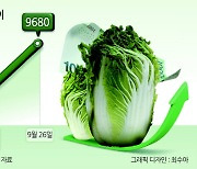 “배춧값, 최대 40% 할인 지원·중국산 수입 확대”