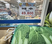 aT “배추 포기당 평균 소매가 9963원”…2년 만에 1만원 넘나