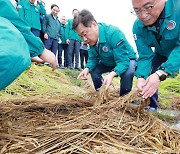 전북 '벼멸구 피해' 7200㏊…도, 12.5억원 투입 긴급 방제