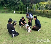 농식품부, 은퇴한 탐지견과 여행 함께 하고 입양 결정하세요