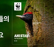 WWF, 멸종위기 동물 보호하는 가상 숙박 예약 캠페인 ‘애니스테이’ 론칭