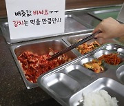 “조금씩! 먹을 만큼만…” 배추값 폭등에 귀해진 김치