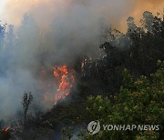 ECUADOR FIRES