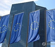 ECB 집행위원 "유로존 경기 둔화"…스위스·멕시코 금리인하