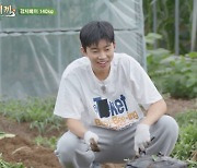 '삼시세끼 Light'에도 불어온 '임영웅 효과'! 자체 최고시청률 경신