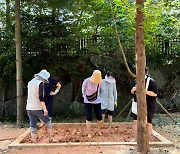 군산 맨발 걷기 황톳길 조성