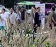 전국 구름 많고 곳곳에 비… 내륙 일교차 주의