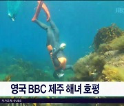 영국 BBC 제주 해녀 호평