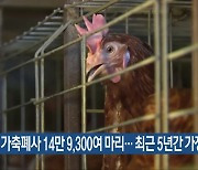 폭염 가축폐사 14만 9,300여 마리…최근 5년간 가장 많아