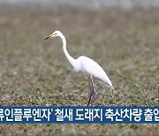 ‘조류인플루엔자’ 철새 도래지 축산차량 출입 제한