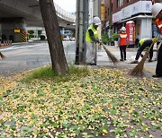 부산·울산·경남 낮 최고 26∼29도…대체로 흐림