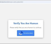 '저는 봇이 아닙니다' 인증 버튼 클릭했을 뿐인데…개인정보 '탈탈'