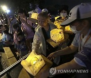 Taiwan Lanterns