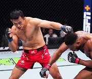 UFC 라이트헤비급 정다운, 佛 원정서 아쉬운 판정패...4연패 수렁