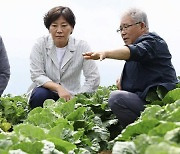 “김장철 배춧값 염려할 상황아냐…中배추 검역 철저”