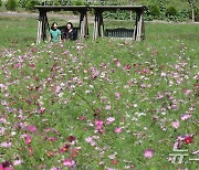 [오늘의 날씨] 대전·충남(29일, 일)…대체로 맑은 가운데 일교차 커