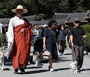 사찰에서 열린 반려견과 함께하는 축제