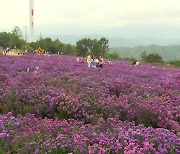 꽃과 별 함께 즐기는 가을 추억 여행