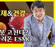 유럽종양학회 2024, 암환자 생존율 향상 열쇠 찾다[AK라디오]