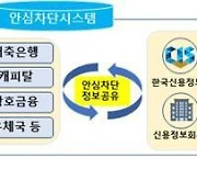 보이스피싱 피해 막는 '안심차단 서비스', 시행 한 달 8만 9817명 가입