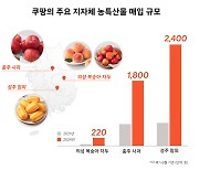 쿠팡, 지역 과일 직매입 3년간 3배 '껑충'...인구 감소 지방 농가 살려