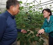 "알몸 김치 걱정 안해도 된다" 송미령 장관 "중국산은 절임 아닌 신선배추"