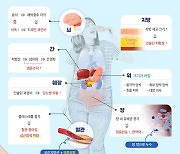 먹방 유튜버 줄줄이 사망… 몸 ‘이렇게’ 병들어 갔을 것