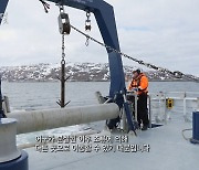 “수거 힘들지만 그냥 두면 더 큰 손실” 수산물 강국 노르웨이의 철학 [창+]