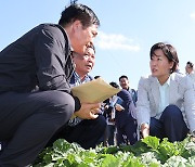 전남 해남 찾은 농식품부 장관 “김장철 배춧값 걱정 없도록 관리 총력”