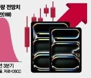 국대 최대 큰 손이 눈독 들이는 이 업종…미국만 움직여주면 된다는데