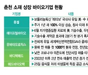 '작지만 강한' 춘천 바이오, 성과 릴레이에 존재감 쑥쑥