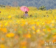 '가을 소풍'