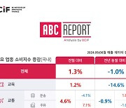 "e커머스 정산지연 여파…지난달 온라인 쇼핑 하락세"