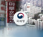 "편법 증여·부동산 탈세에 5년동안 1조7217억원 추징"