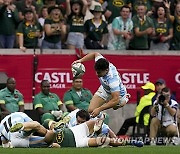 South Africa Argentina Rugby