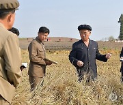 북한 김덕훈 내각총리, 평안북도 농업부문과 피해복구사업 시찰