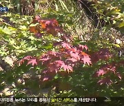 ‘가을 단풍’ 물드는 설악산…산악사고 주의