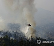 Greece Wildfires