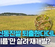 "신동진쌀 퇴출한다더니".. '이름'만 살려 재개발?